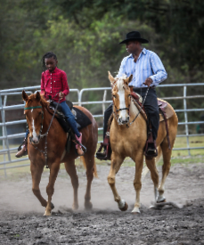 Gus Trent Horse Ranch internship image